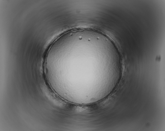 X0000111490346200907281233