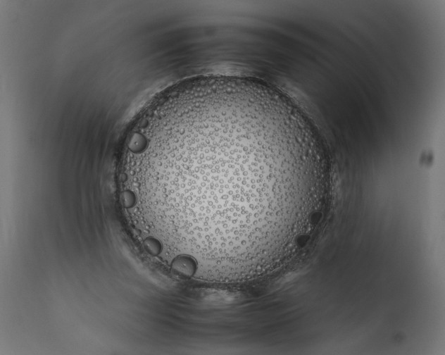 X0000111490347200907281233