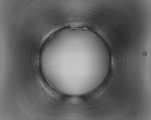 X0000111490348200907281233