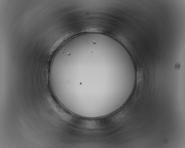 X0000111490349200907281233