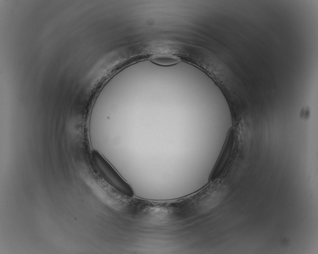 X0000111490352200907281233