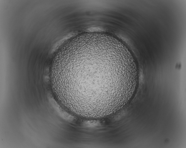 X0000111490353200907281233