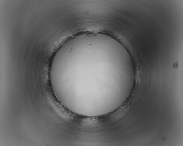 X0000111490354200907281233