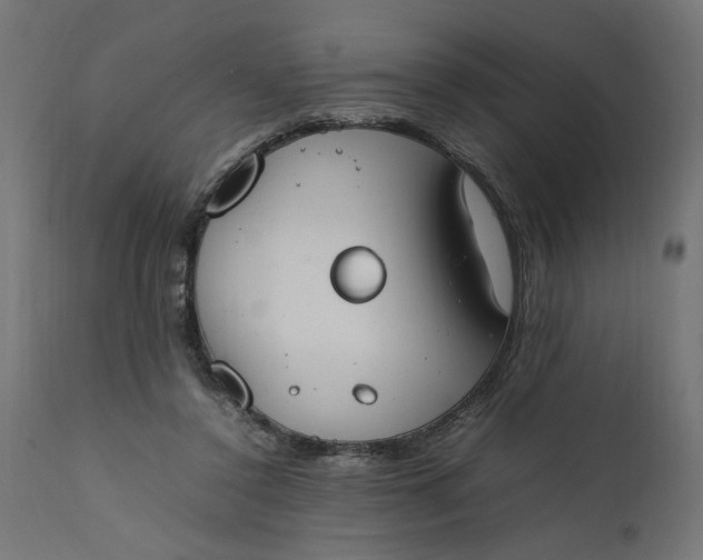 X0000111490356200907281233