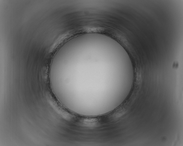 X0000111490357200907281233