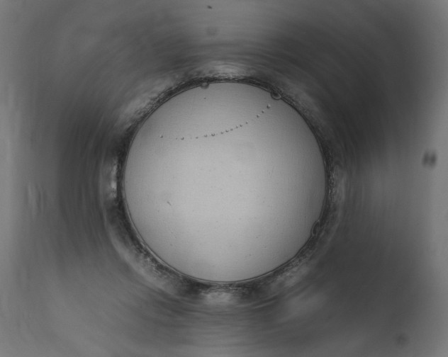 X0000111490358200907281233