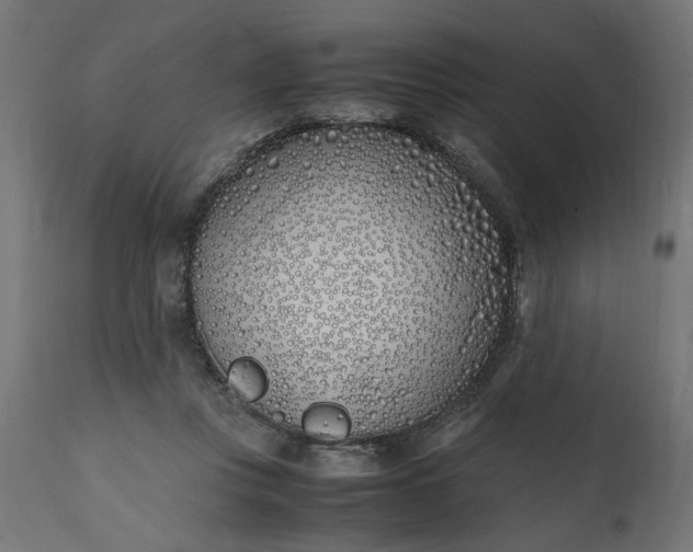 X0000111490359200907281233