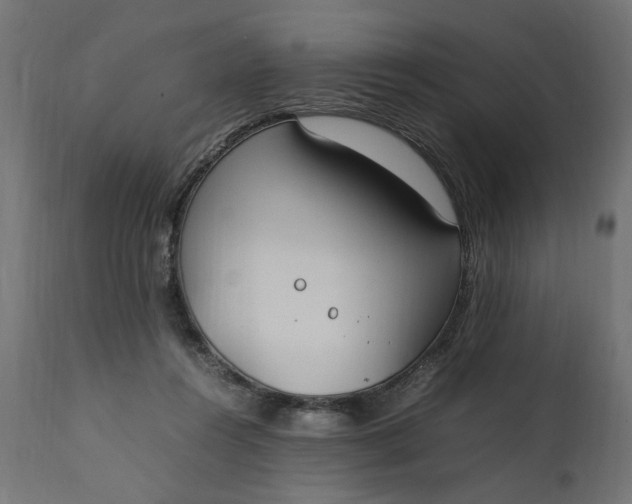 X0000111490360200907281233