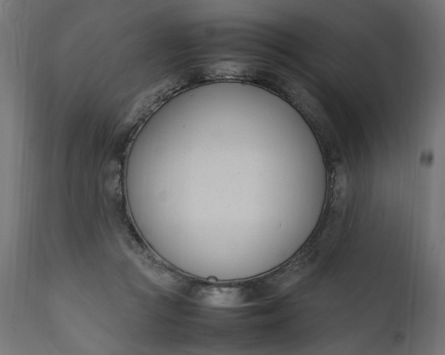 X0000111490361200907281233