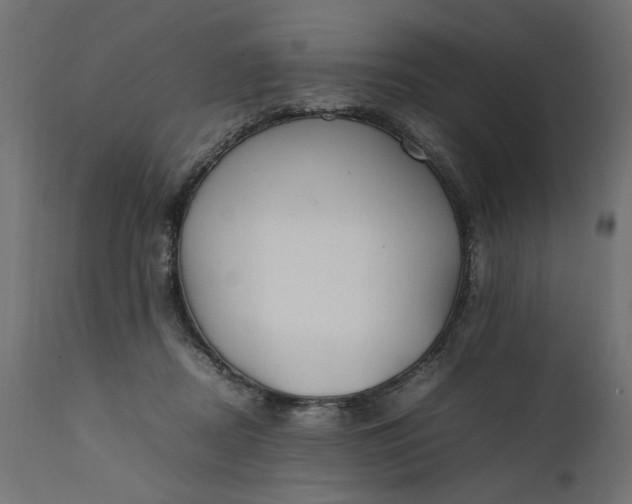 X0000111490362200907281233