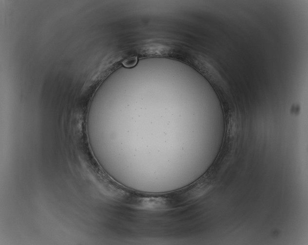 X0000111490363200907281233