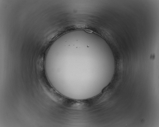 X0000111490364200907281233