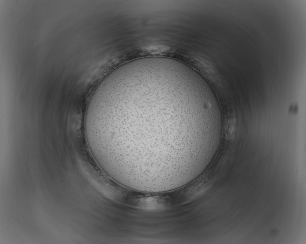 X0000111490365200907281233