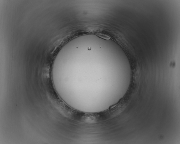 X0000111490368200907281233