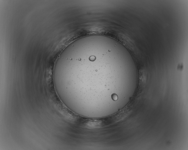 X0000111490369200907281233