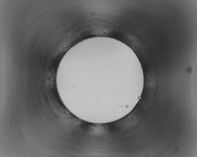 X0000111490370200907281233