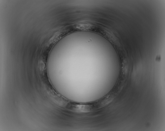 X0000111490371200907281233