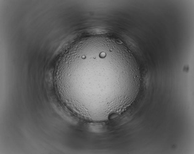 X0000111490373200907281233