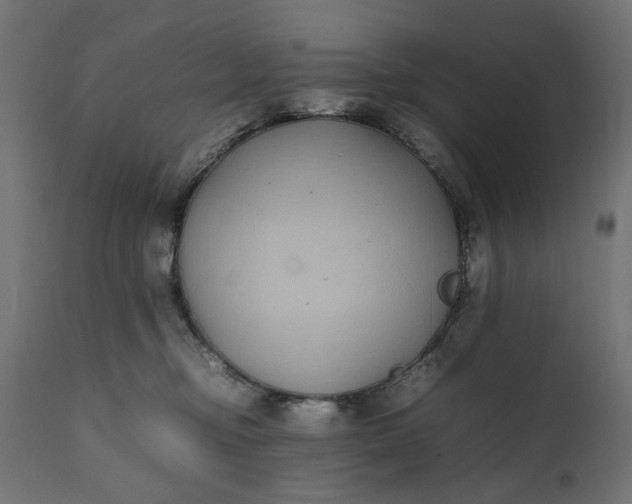 X0000111490374200907281233