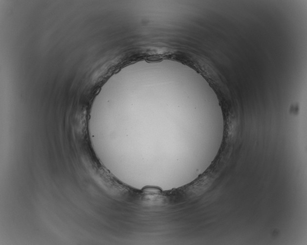 X0000111490376200907281233