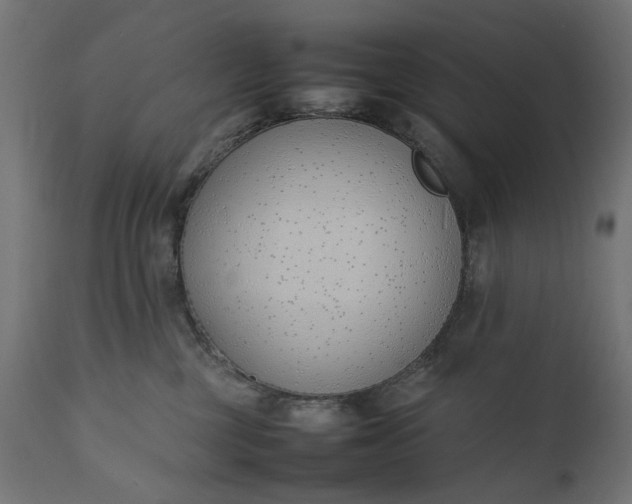 X0000111490377200907281233