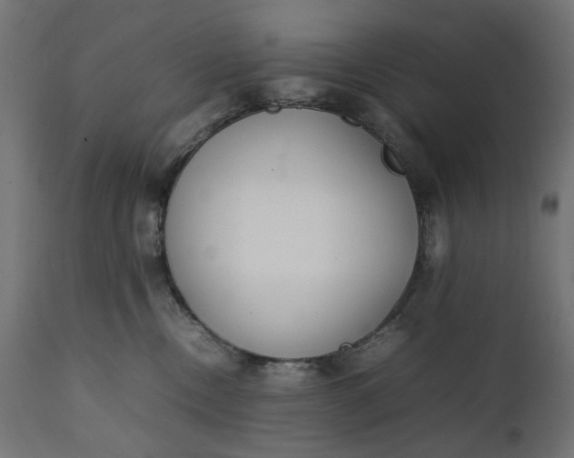 X0000111490378200907281233