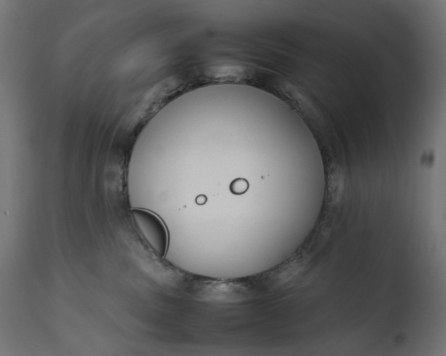 X0000111490379200907281233