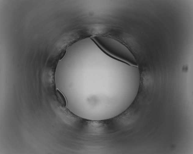 X0000111490380200907281233