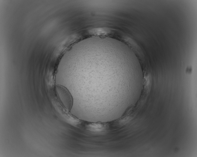 X0000111490381200907281233