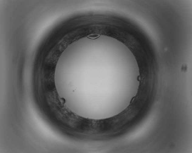 X0000111490383200907281233