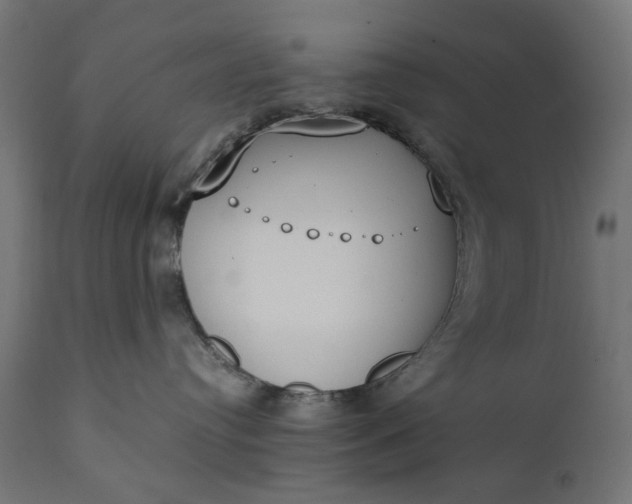 X0000111490384200907281233