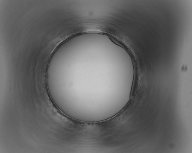 X0000111490385200907281232