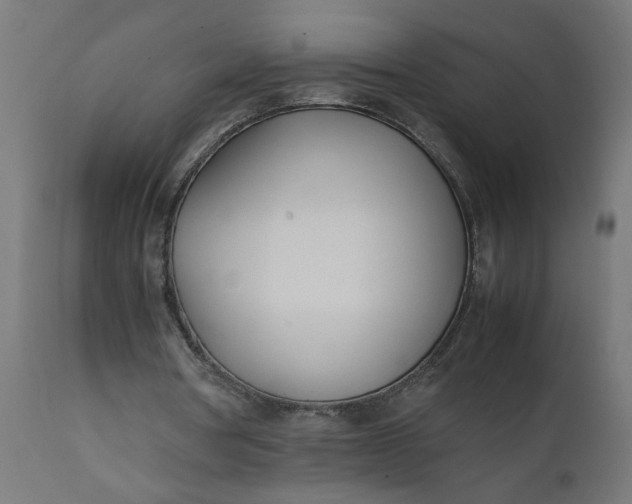 X0000111490386200907281232