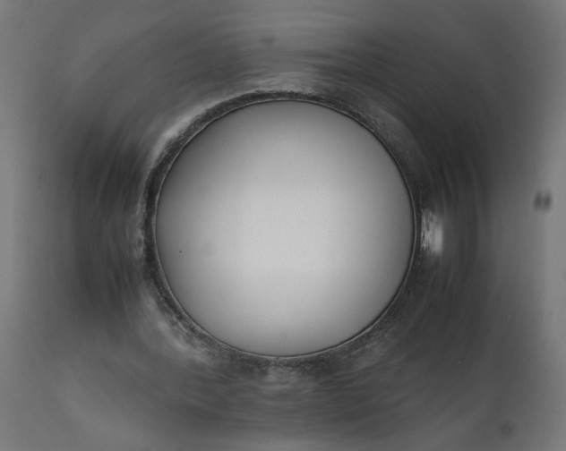 X0000111490388200907281232