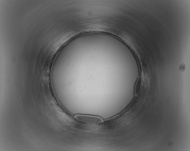 X0000111490389200907281232