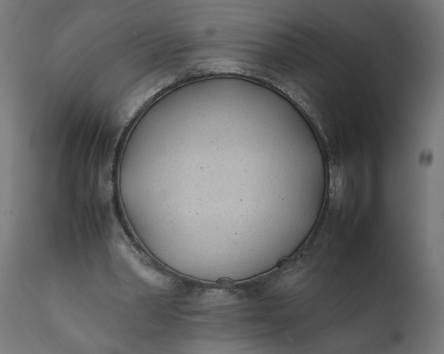 X0000111490390200907281232