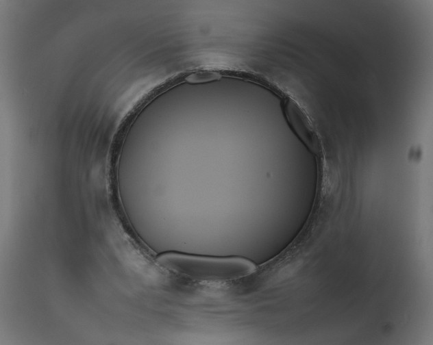 X0000111490391200907281232