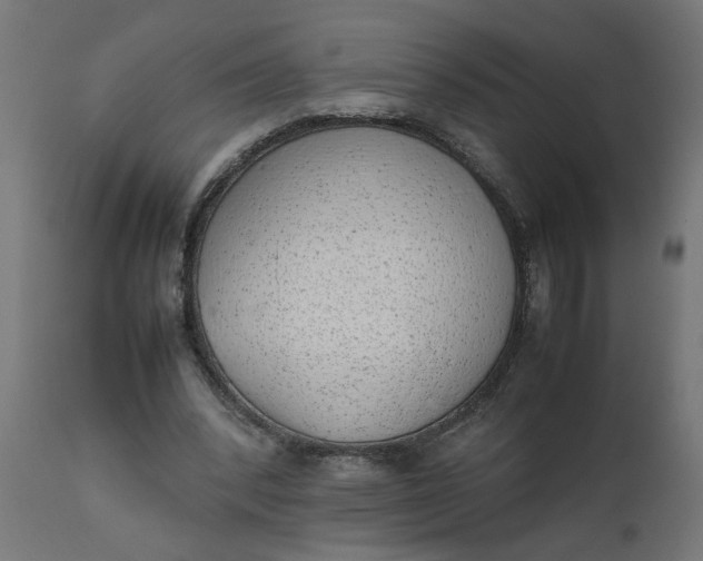 X0000111490392200907281232