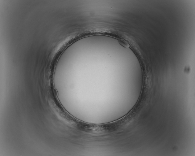 X0000111490395200907281232