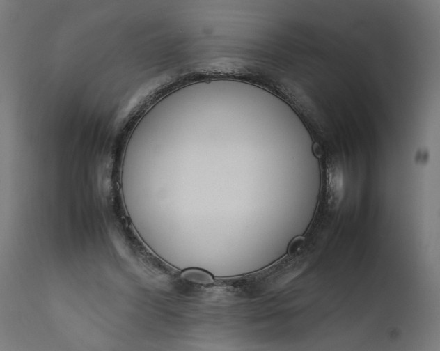 X0000111490396200907281232