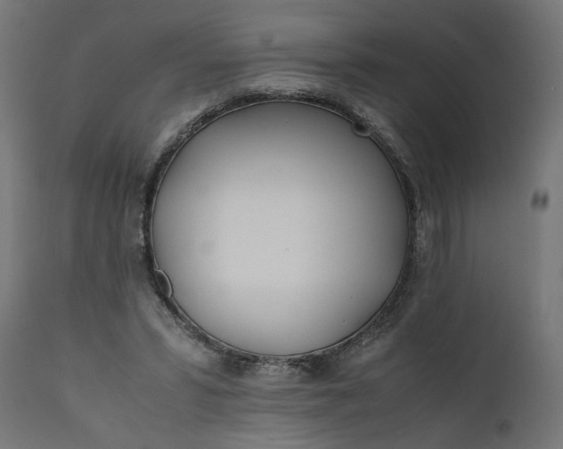 X0000111490399200907281232