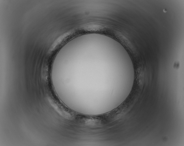 X0000111490400200907281232