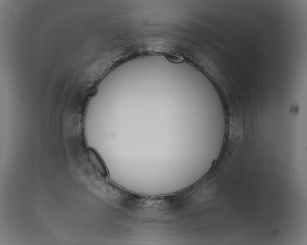 X0000111490401200907281232