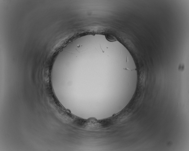 X0000111490403200907281232