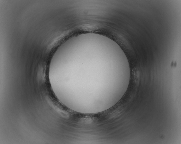 X0000111490404200907281232