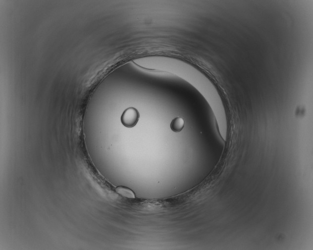 X0000111490405200907281232