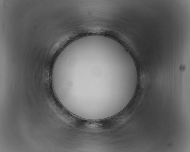 X0000111490407200907281232