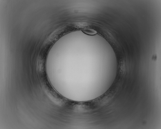 X0000111490408200907281232