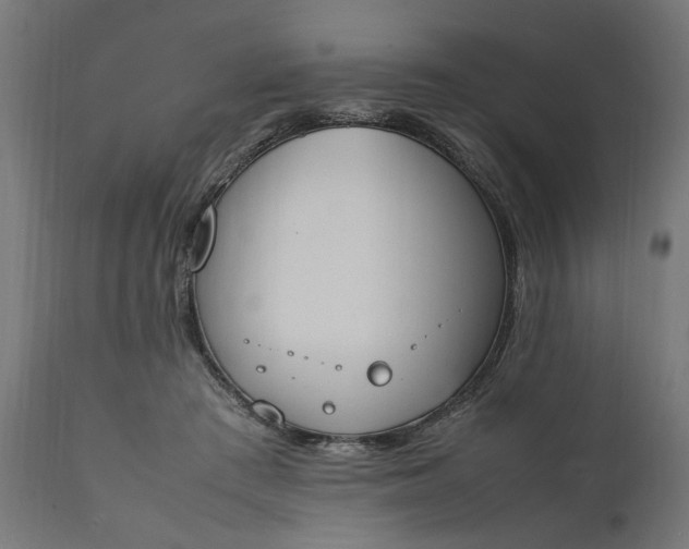 X0000111490409200907281232