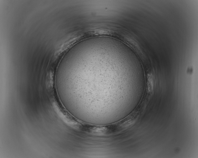 X0000111490410200907281232